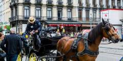 Bruselas será primera ciudad europea con carruajes eléctricos sin caballos para turistas