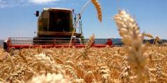 Por gestión del Gobierno anterior Argentina exportará trigo a China