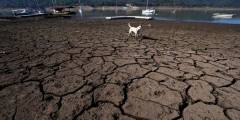 Ante protestas las autoridades mexicanas detienen extracción de agua de embalse 