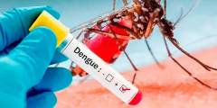 Suman 22 mil los casos confirmados de dengue en la provincia