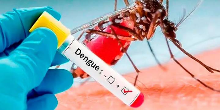 Suman 22 mil los casos confirmados de dengue en la provincia