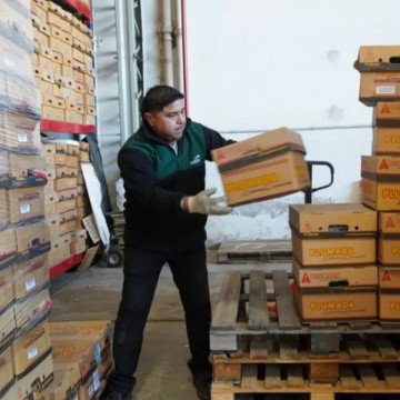 El Archivo Central realizó uno de los mayores expurgos documentales de los últimos años