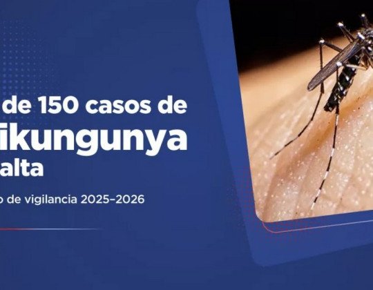 Salta registra más de 150 casos confirmados de chikungunya en lo que va del período de vigilancia 2025–2026