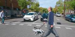 Tefi, el perro robot que usa la IA para ayudar a personas con discapacidad
