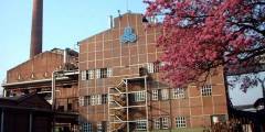Denunciaron en el Congreso los despidos en el ingenio Ledesma