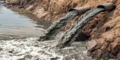 ONU advierte sobre el costo ambiental del narcotráfico, contaminación, deforestación y residuos tóxicos