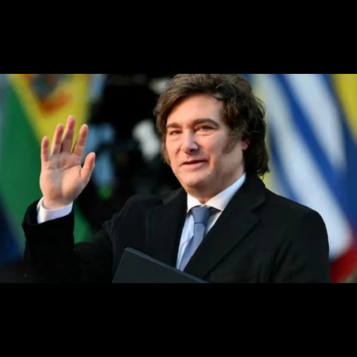 Denunciaron penalmente al presidente Milei